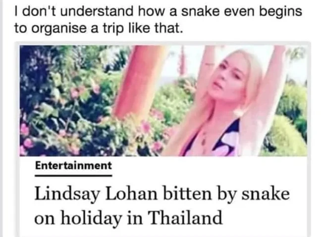 Snake