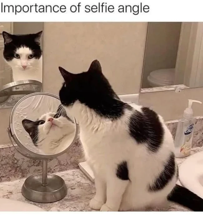 Selfie angle