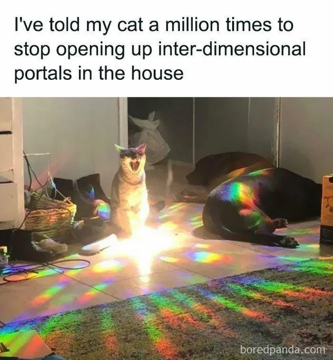 Portals