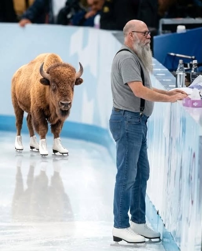 Buffalo
