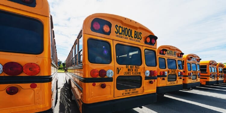 A fleet of school buses in a parking lot.