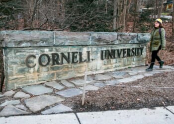 Cornell bans bear butchering in dorm kitchens after 2025 uproar