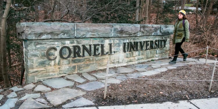 Cornell bans bear butchering in dorm kitchens after 2025 uproar