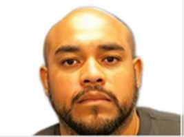 A man with a shaved head, full beard, and mustache looks directly at the camera against a plain white background.
