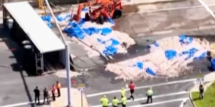 Truckload of squid spills into the street in Rhode Island, creating a smelly mess in the summer heat