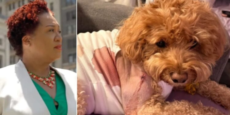 Brooklyn Judge Janice Robinson, left, let a man go free without bail after he was charged with attempted murder for allegedly shooting at a man, but accidentally hitting the service dog of a woman with Down syndrome. The dog, Honey, survived.