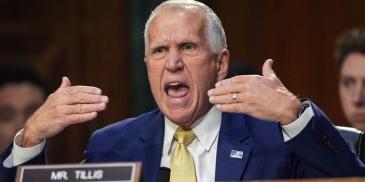 Texas Republicans Picked Paxton, but The Guardian Picked Tillis – PJ Media