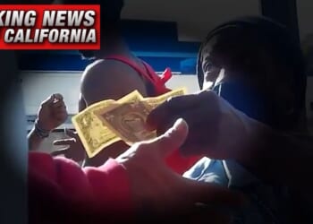 Video by independent investigative journalist James O'Keefe depicted homeless people being paid to sign petitions in support of ballot initiatives using stolen identities of registered voters.