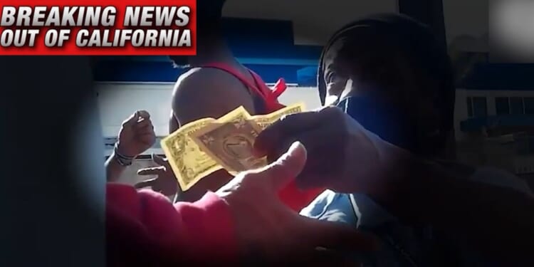 Video by independent investigative journalist James O'Keefe depicted homeless people being paid to sign petitions in support of ballot initiatives using stolen identities of registered voters.