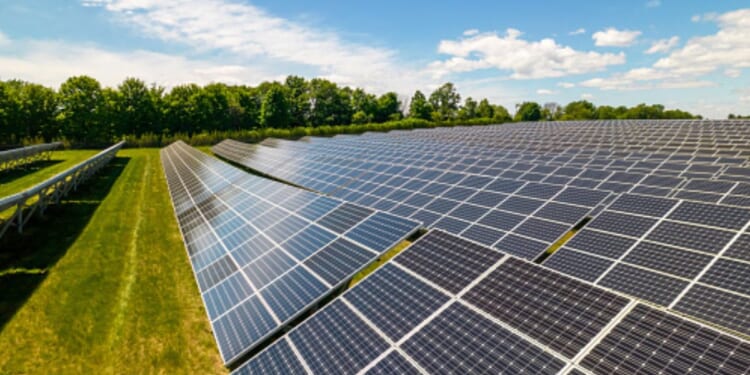 Solar panels in an open field are pictured.