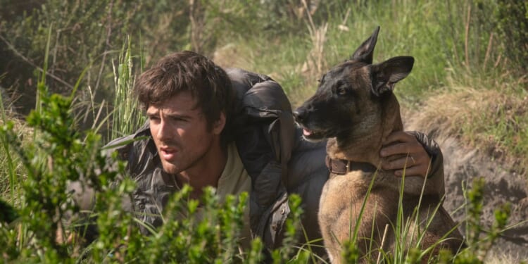 'The Dog Stars' finds an audience on streaming after bombing in movie theaters