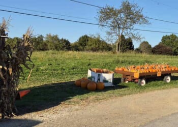 Have a Dollar General Halloween – PJ Media