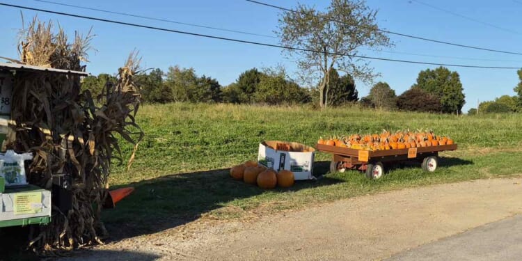 Have a Dollar General Halloween – PJ Media