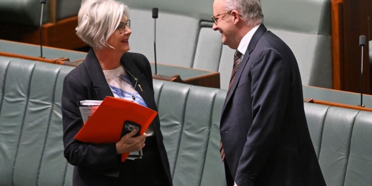 Australian prime minister says lawmaker critically injured by car is 'no accident'