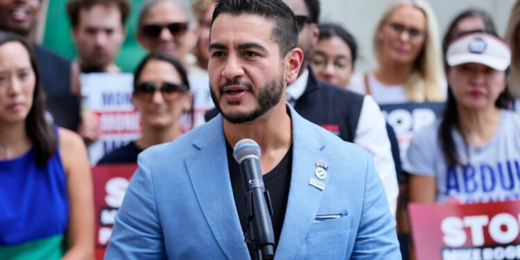 El-Sayed Launched His Senate Campaign. Six Days Later, Wayne County Hired Him Back. – PJ Media