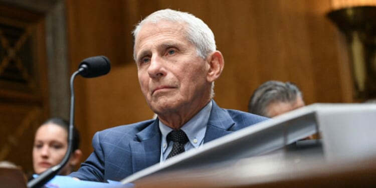 Anthony Fauci sits in the Senate Homeland Security and Governmental Affairs Committee on July 29, 2026 in Washington, D.C.