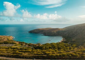 Hawaiian people originated from Easter Island sailors, study finds