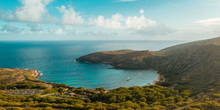 Hawaiian people originated from Easter Island sailors, study finds