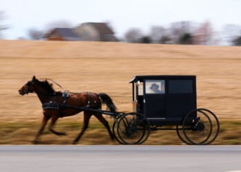 How an Orthodox Jewish scholar found an unexpected home among the Amish