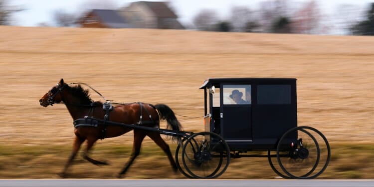 How an Orthodox Jewish scholar found an unexpected home among the Amish