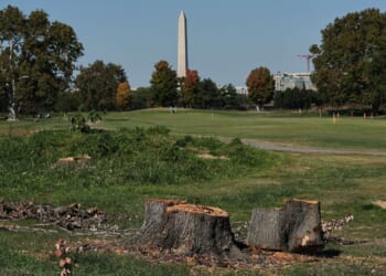 Judge imposes roadblocks on Trump's plans for golf course on National Mall