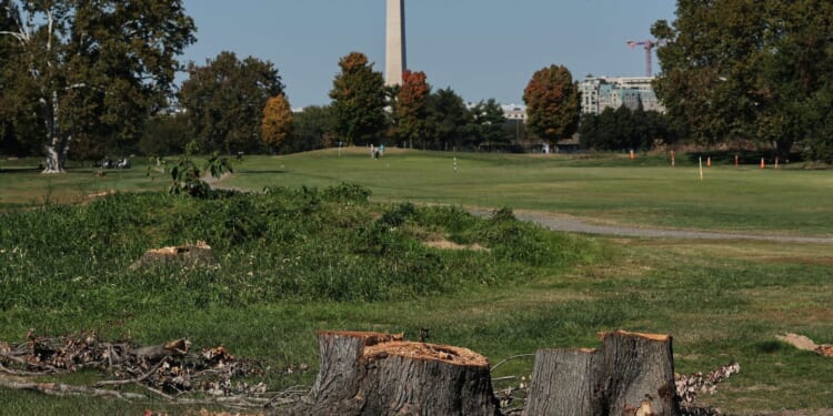 Judge imposes roadblocks on Trump's plans for golf course on National Mall