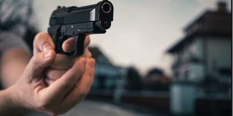 The homeowner said the intruder fled after being shot, leaving behind his dog.