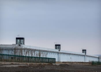 Three Chinese companies added to Uyghur forced labor list