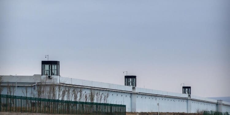 Three Chinese companies added to Uyghur forced labor list