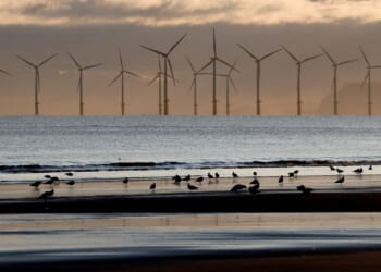 Why offshore wind has been so much harder in America than in Europe
