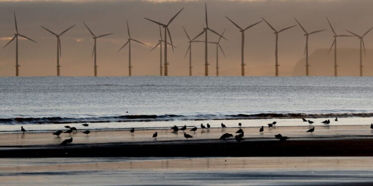 Why offshore wind has been so much harder in America than in Europe